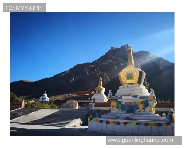 古蔺篮球明星的崛起与奋斗历程揭秘，激励无数年轻球员追逐梦想